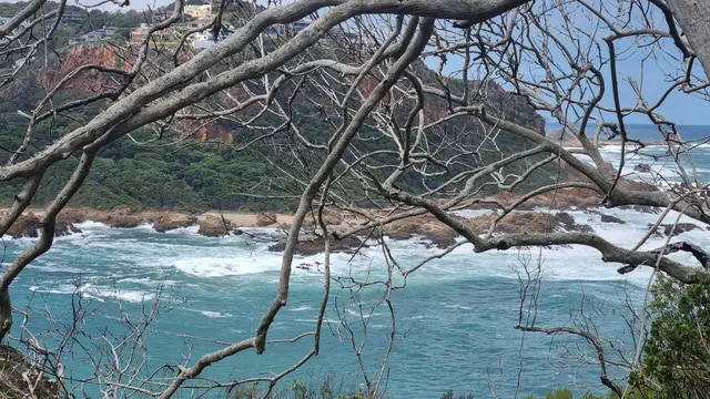 29.10.2025 der Blick von der Insel zur Einfahrt in die Knysna Lagune.
