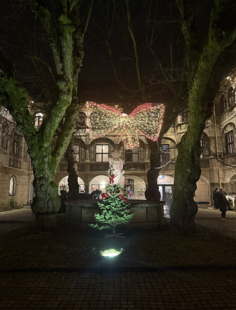 Foto: LC Wels-Puchberg