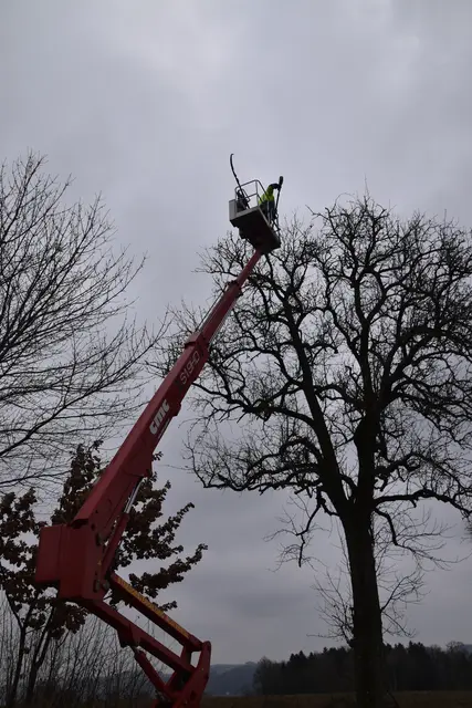 Engelbert Wieser in Aktion: Altbaumschnitt-Maßnahmen beim Mostlandhof in Schauboden | Foto: Roland Mayr/MeinBezirk Scheibbs
