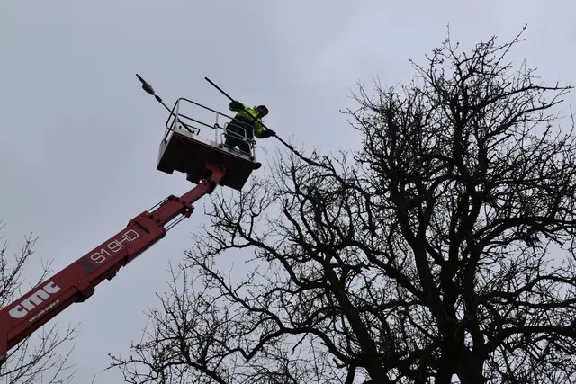 Engelbert Wieser in Aktion: Altbaumschnitt-Maßnahmen beim Mostlandhof in Schauboden | Foto: Roland Mayr/MeinBezirk Scheibbs
