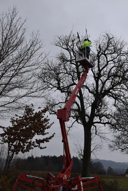 Engelbert Wieser in Aktion: Altbaumschnitt-Maßnahmen beim Mostlandhof in Schauboden | Foto: Roland Mayr/MeinBezirk Scheibbs