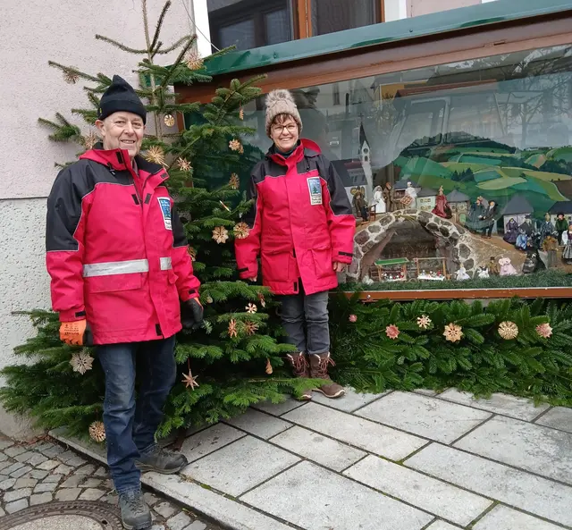 Zäzilia und Rupert Hintersteiner sorgen all die Jahre für die Christbäume bei der Heikmatkrippe Pabneukirchen.  | Foto: Hochstöger