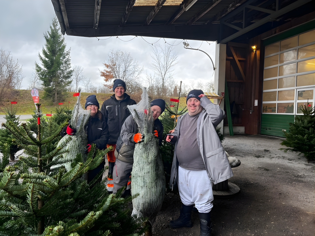 Christbaumverkauf mit kleinem Weihnachtsmarkt am Gutshof Heidensand in Lustenau.  | Foto: Lebenshilfe Vorarlberg