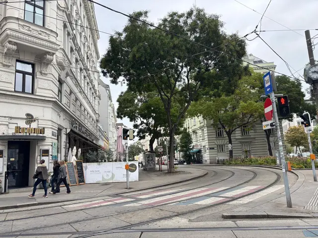 Für Diskussionen sorgte vor allem der Josef-Matthias-Hauer-Platz. | Foto: Pia Rotter/MeinBezirk