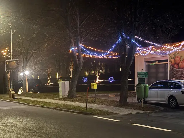 Der Nebersdorfer Park erstrahlt erstmals mit Lichtern, Tannenzweigen und liebevoller Weihnachtsdekoration. | Foto: Verschönerungsverein Nebersdorf