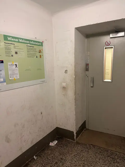 Schmutzige Wände und Dreck am Boden prägen das Bild im Gebäude. | Foto: z. V. g.