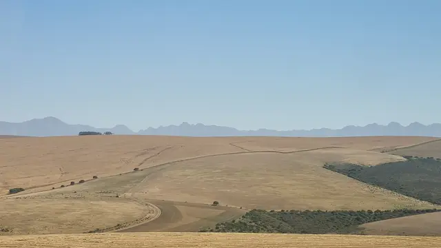 28.10.2025 Fahrt durch "Brotkorb der Kapregion" von Hermanus nach Swellendam