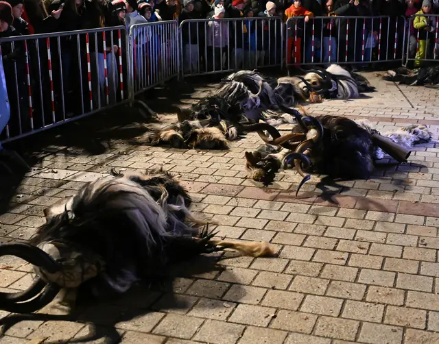 Foto: Wilfried Fischer