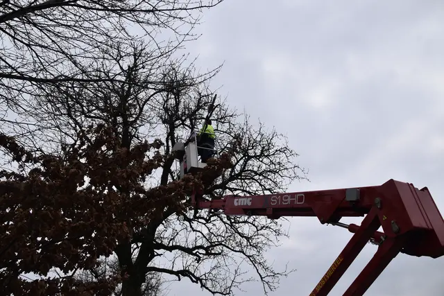 Engelbert Wieser in Aktion: Altbaumschnitt-Maßnahmen beim Mostlandhof in Schauboden | Foto: Roland Mayr/MeinBezirk Scheibbs
