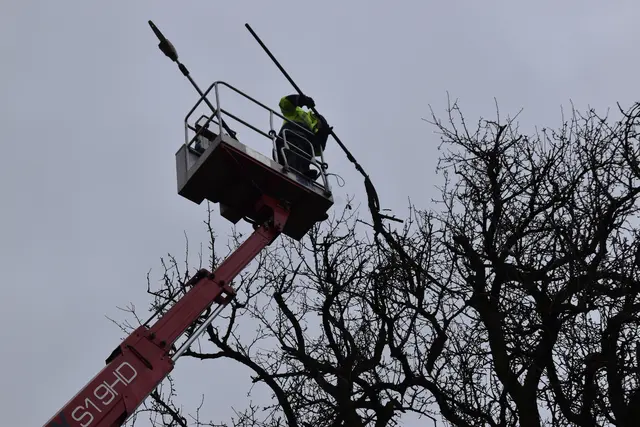 Engelbert Wieser in Aktion: Altbaumschnitt-Maßnahmen beim Mostlandhof in Schauboden | Foto: Roland Mayr/MeinBezirk Scheibbs