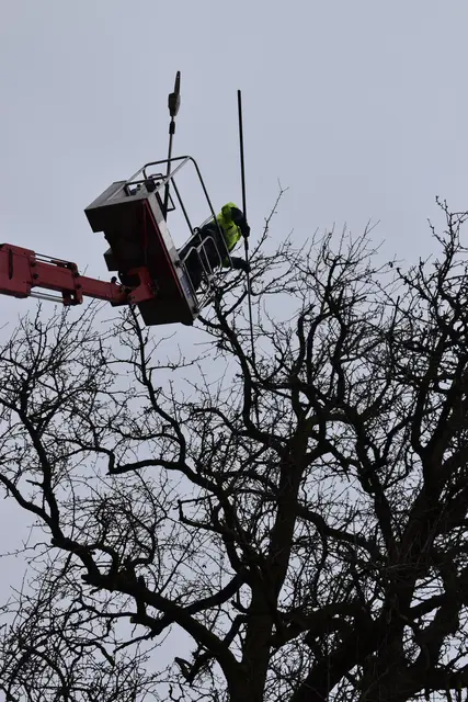 Engelbert Wieser in Aktion: Altbaumschnitt-Maßnahmen beim Mostlandhof in Schauboden | Foto: Roland Mayr/MeinBezirk Scheibbs