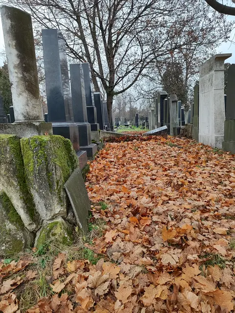 Winterruhe... | Foto: I.Wozonig