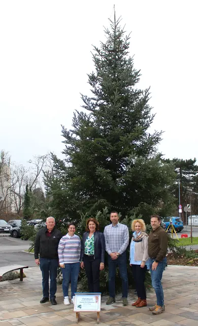 Alexandra Grabner-Fritz (3.v.l.) und der gespendete Christbaum vor der Bezirkshauptmannschaft Neunkirchen. | Foto: Bezirkshauptmannschaft Neunkirchen