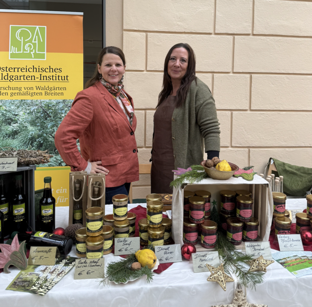 Foto: LC Wels-Puchberg