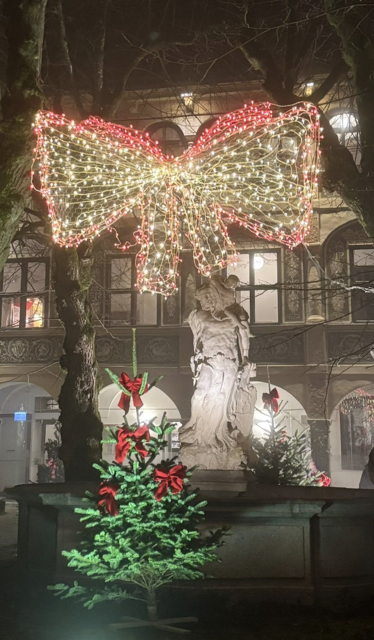 Foto: LC Wels-Puchberg