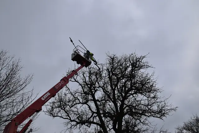 Engelbert Wieser in Aktion: Altbaumschnitt-Maßnahmen beim Mostlandhof in Schauboden | Foto: Roland Mayr/MeinBezirk Scheibbs