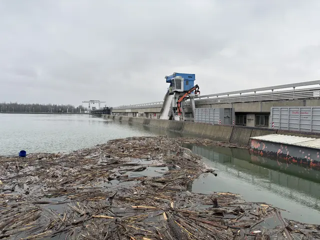 Das Kraftwerk befreit zugleich die Donau von Müll. | Foto: Victoria Edlinger