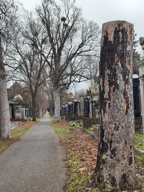 Viele Wege und kleinere Pfade führen durch die Gräberreihen... | Foto: I.Wozonig