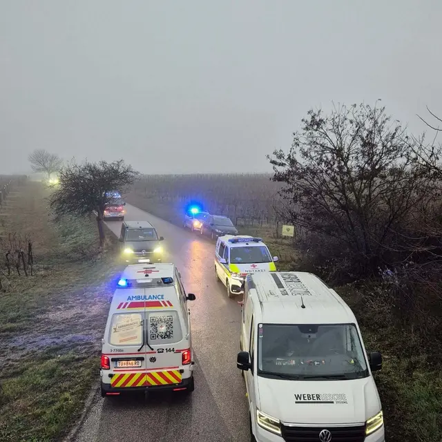 Der Unfall passierte zwischen Göttlesbrunn und Höflein. | Foto: FF Göttlesbrunn