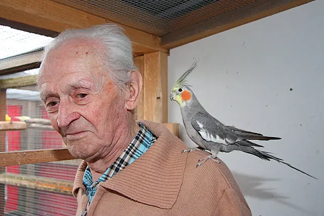 Foto: Johann Schleich