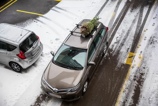 Wir verraten dir, wie du deinen Christbaum sicher nach Hause bringst, damit dem Schmücken, Glitzern und Feiern nichts mehr im Weg steht. | Foto: ÖAMTC/Wilhelm Bauer