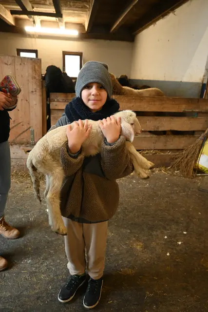Ein gerade mal einen Tag altes Lämmchen erlebte gleich zu Beginn seines Lebens viel Trubel mit dem Besuch der Schulklassen. | Foto: Königer