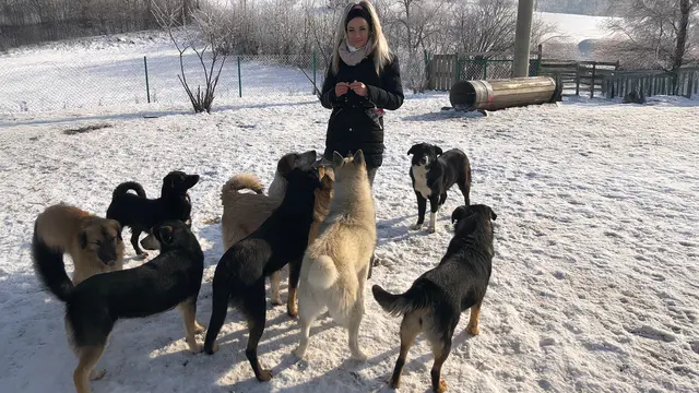 Ein Herz für Hunde engagiert sich nachhaltig für Tierschutz und Patenschaften in Bosnien. | Foto: Ein Herz für Hunde