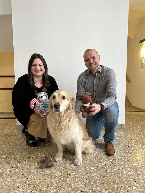 Die Obfrau des Vereins der Freunde des Welser Tierheims, Anna Wippl und Thomas Rammerstorfer bitten um Spenden für die Arche-Schützlinge. | Foto: Stadt Wels