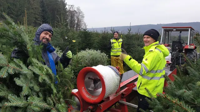 Christbaumernte am Hof von Familie Paar. Das das ganze Jahr über profitiert das ganze Ökosystem von den Bäumen. | Foto: Familie Paar
