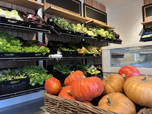 Insgesamt produziert die Familie Winklhofer um die 60 Gemüsesorten auf ihrem Hof. | Foto: Simon Haslauer