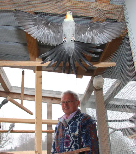 Foto: Johann Schleich