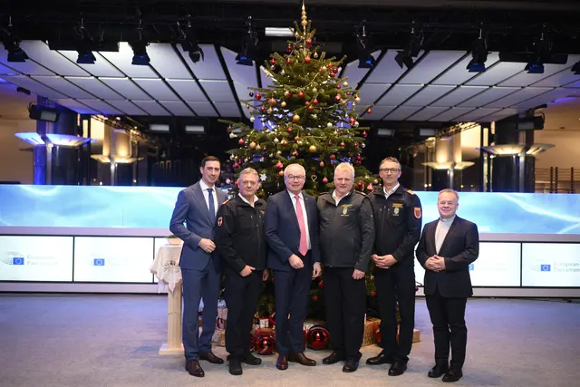 Ein Christbaum aus Niederösterreich glänzt im Europaparlament. | Foto: Imre Antal