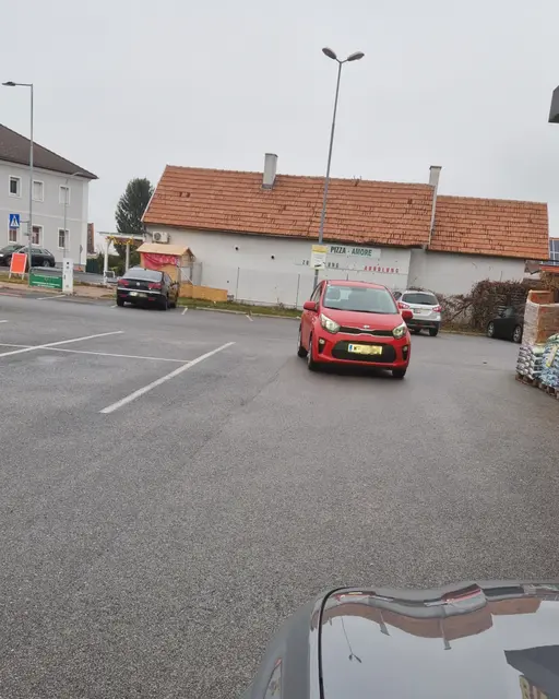 Der Gast aus Wien fand trotz vieler freier Parkflächen offenbar keinen geeigneten Parkplatz. | Foto: Florian G.