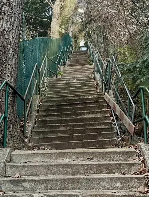 Die Loudonstiege wird zwar gesäubert, verfällt aber immer mehr. | Foto: FPÖ