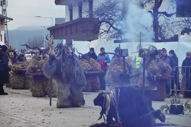Die Passen zeigten im 30-Minuten-Takt ihre Shows.  | Foto: Barbara Fluckinger