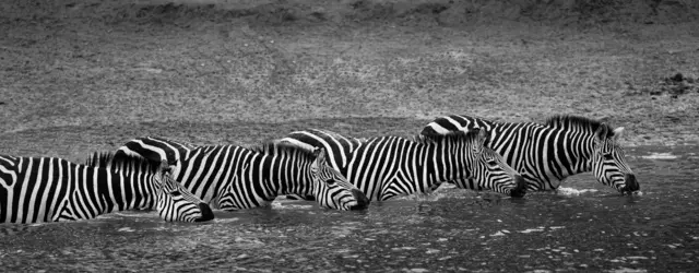 Ein episches Foto | Foto: Philipp Voith