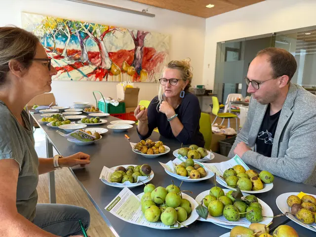 Die Pomologinnen Martina Schmidthaler und Gerlinde Handlechner gemeinsam mit Mathias
Weis, Biologe und Moststraße-Projektleiter, beim Bestimmen des abgegebenen Obstes | Foto: LEADER-Region Moststraße
