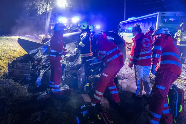 Foto: Hermann Kollinger