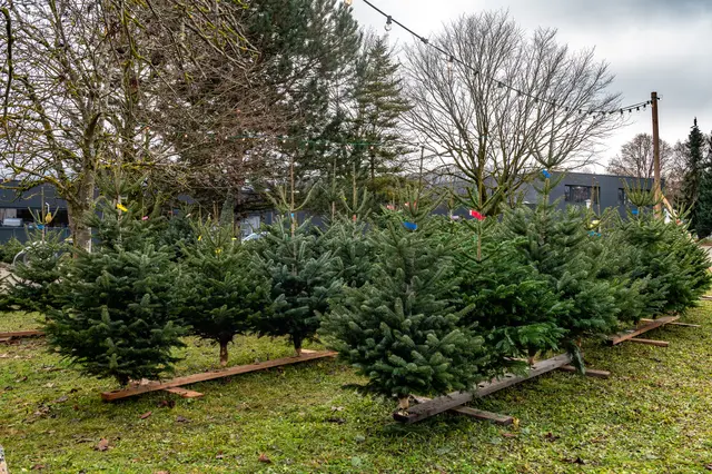 Foto:  Friedrich Scheichl