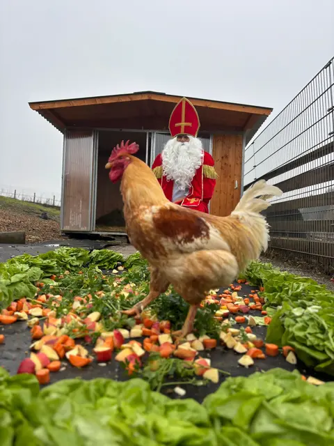 Foto: Pfotenhilfe Lochen