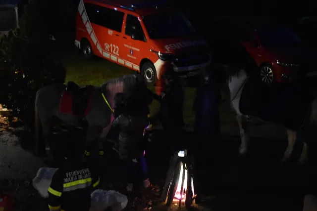 Foto: Sarah Gönitzer