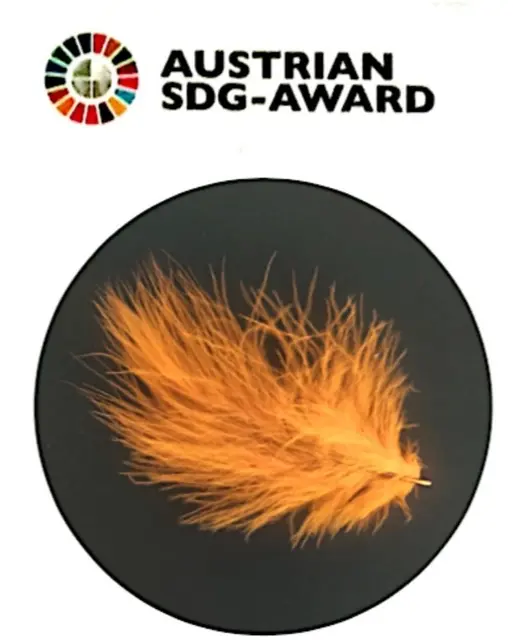 Orange Feder -SDG Award Badge | Foto: Tatjana Christelbauer
