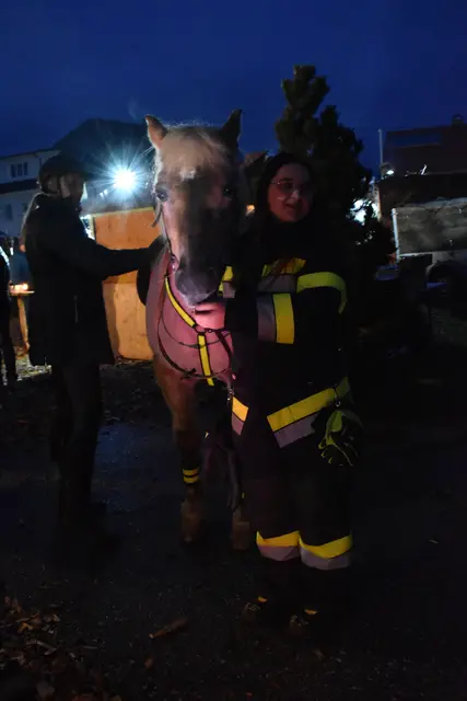 Foto: Sarah Gönitzer