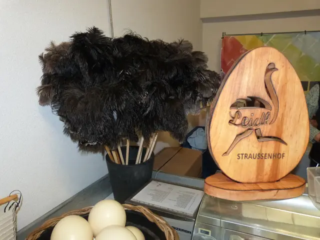 Foto: Vanessa Wittmann