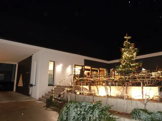 Foto: Vanessa Wittmann