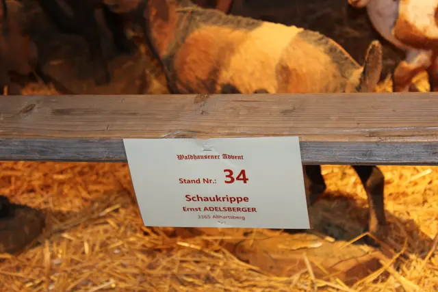 Waldhausener Advent 2025 - Schaukrippe Ernst Adelsberger | Foto: MeinBezirk Perg/Köck