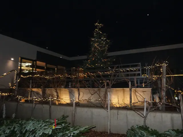 Foto: Vanessa Wittmann