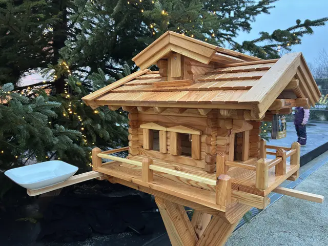 Foto: Anna Maria Kaufmann