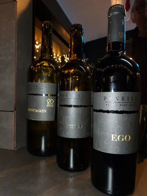 Foto: Vanessa Wittmann