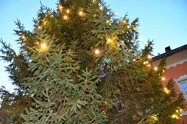 Der Christbaum am Hauptplatz in Oberwölz. | Foto: Anita Galler